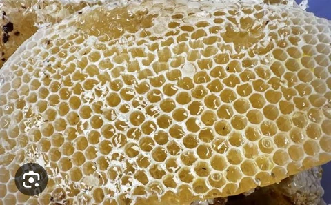 Oku white honey